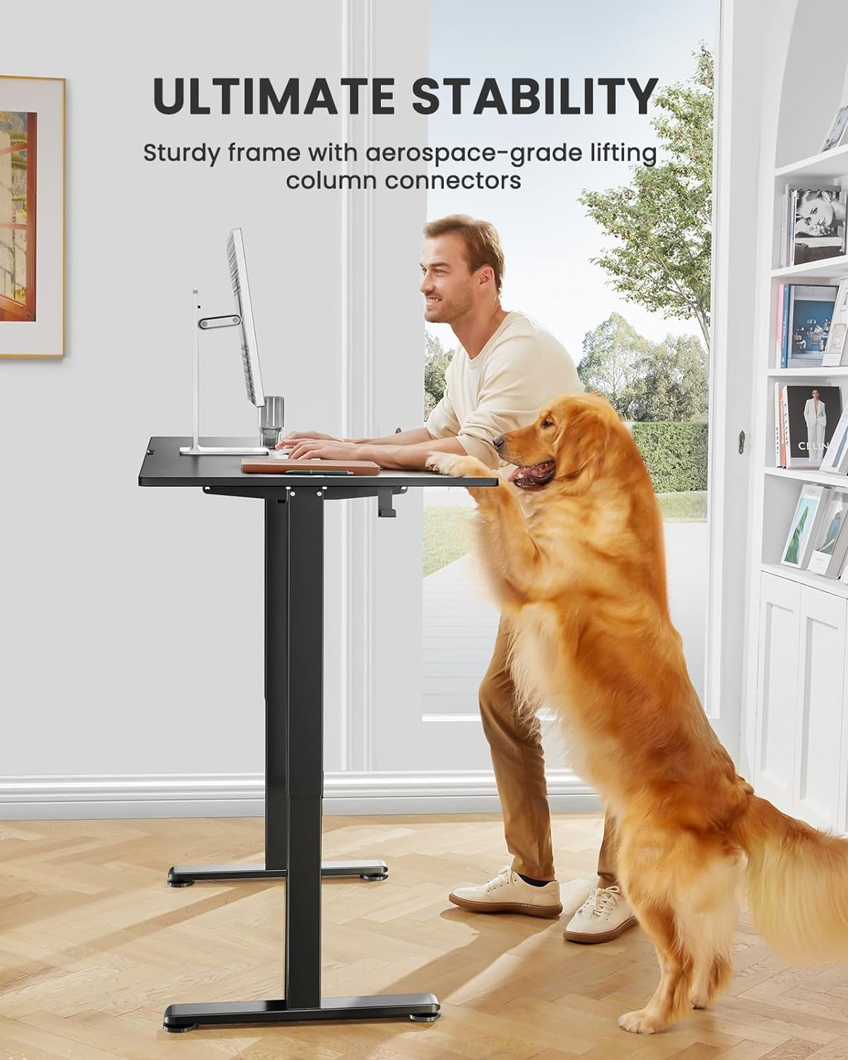 Height Adjustable Electric Standing Desk, 48 X 24 Inches Sit Stand up Desk, Memory Computer Home Office Desk (Black)