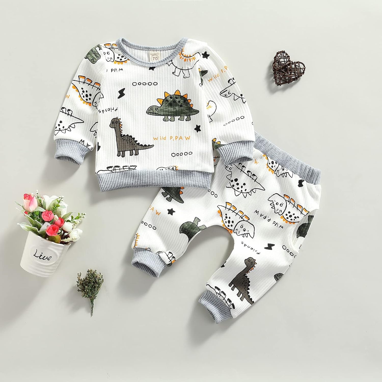 Newborn Infant Baby Boy Clothes Dinosaur Animal Gender Neutral Long Sleeve Sweatshirts Fall Winter Pants Outfits