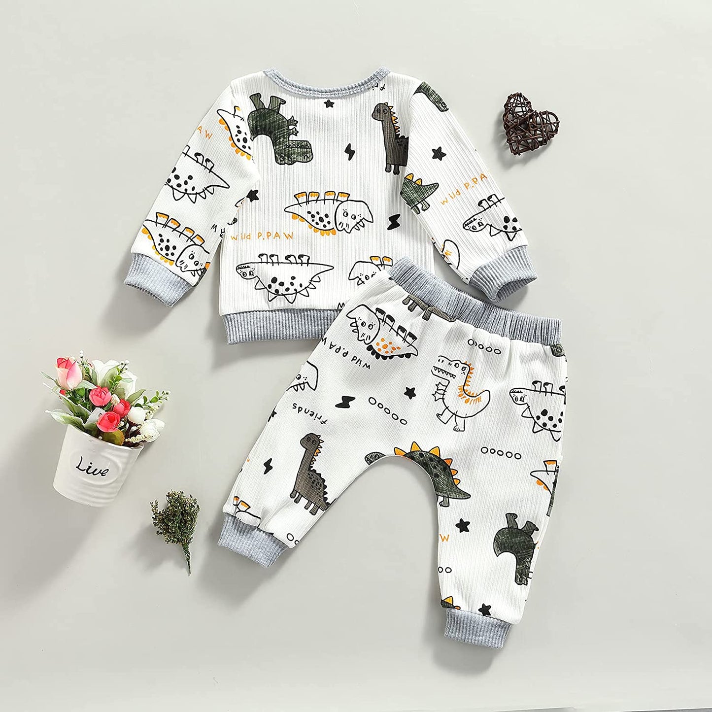 Newborn Infant Baby Boy Clothes Dinosaur Animal Gender Neutral Long Sleeve Sweatshirts Fall Winter Pants Outfits